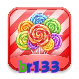 br133